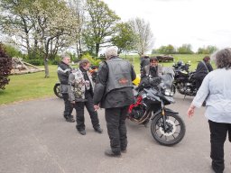 Hahn Auf_Anlassen_2024-P4280020